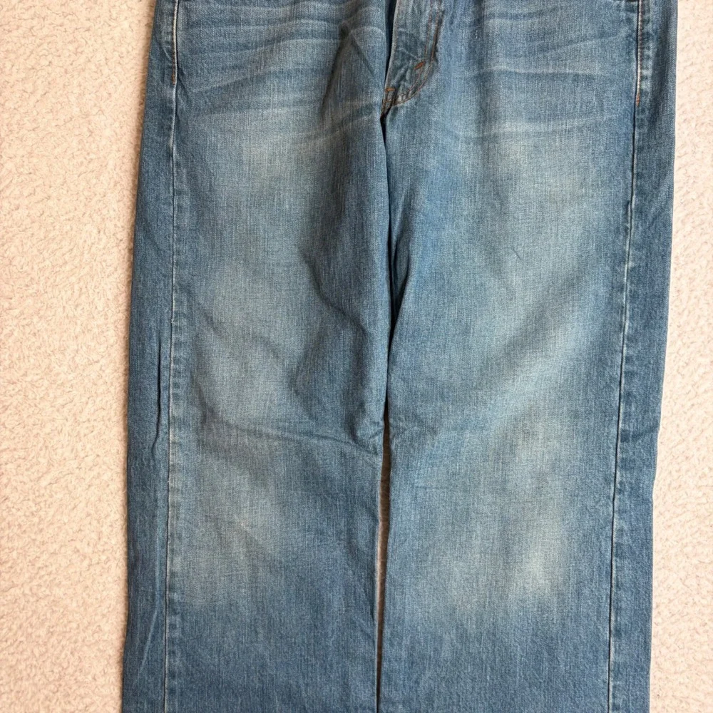 Levis levis 569